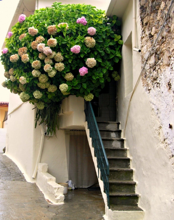 цветочные балконы